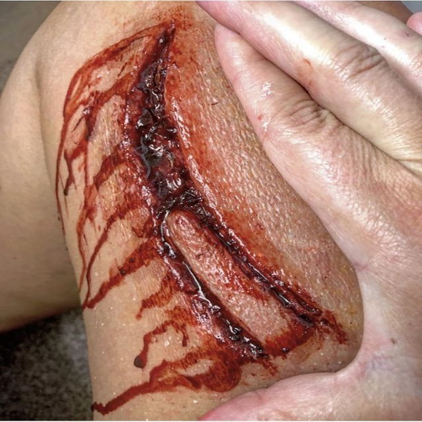 Machete Slash Wound / Trauma / Laceration / Latex Free / Makeup - MonsterFX
